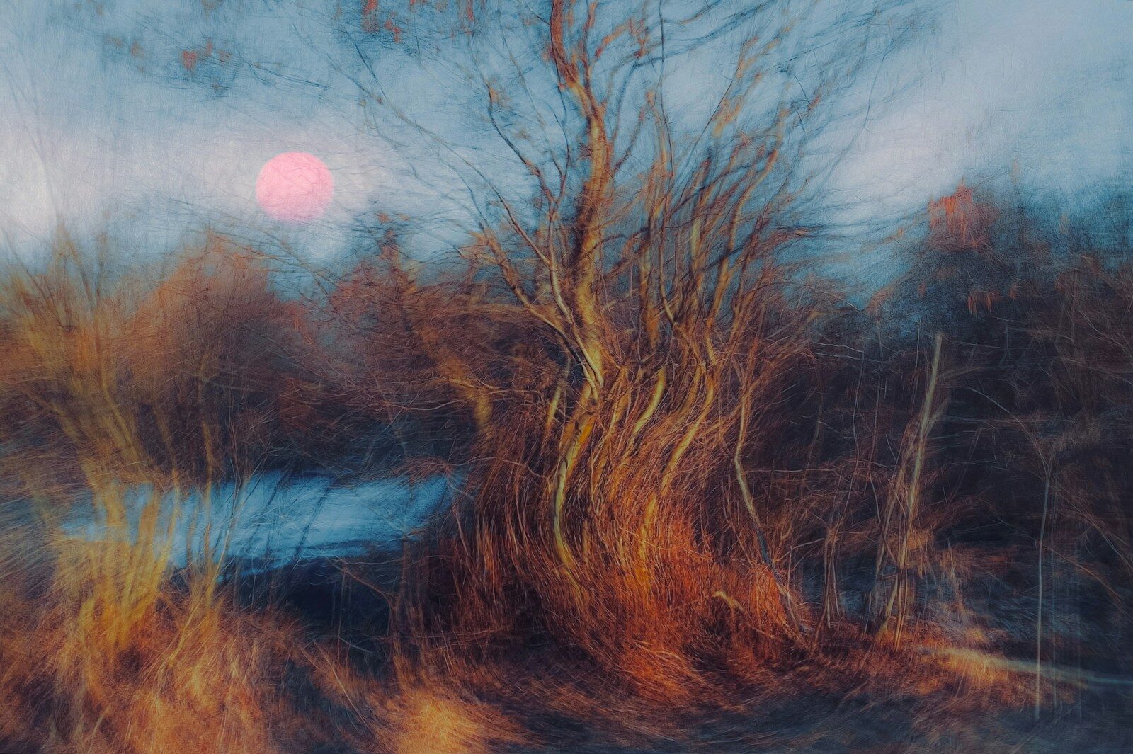 Environmental Violations