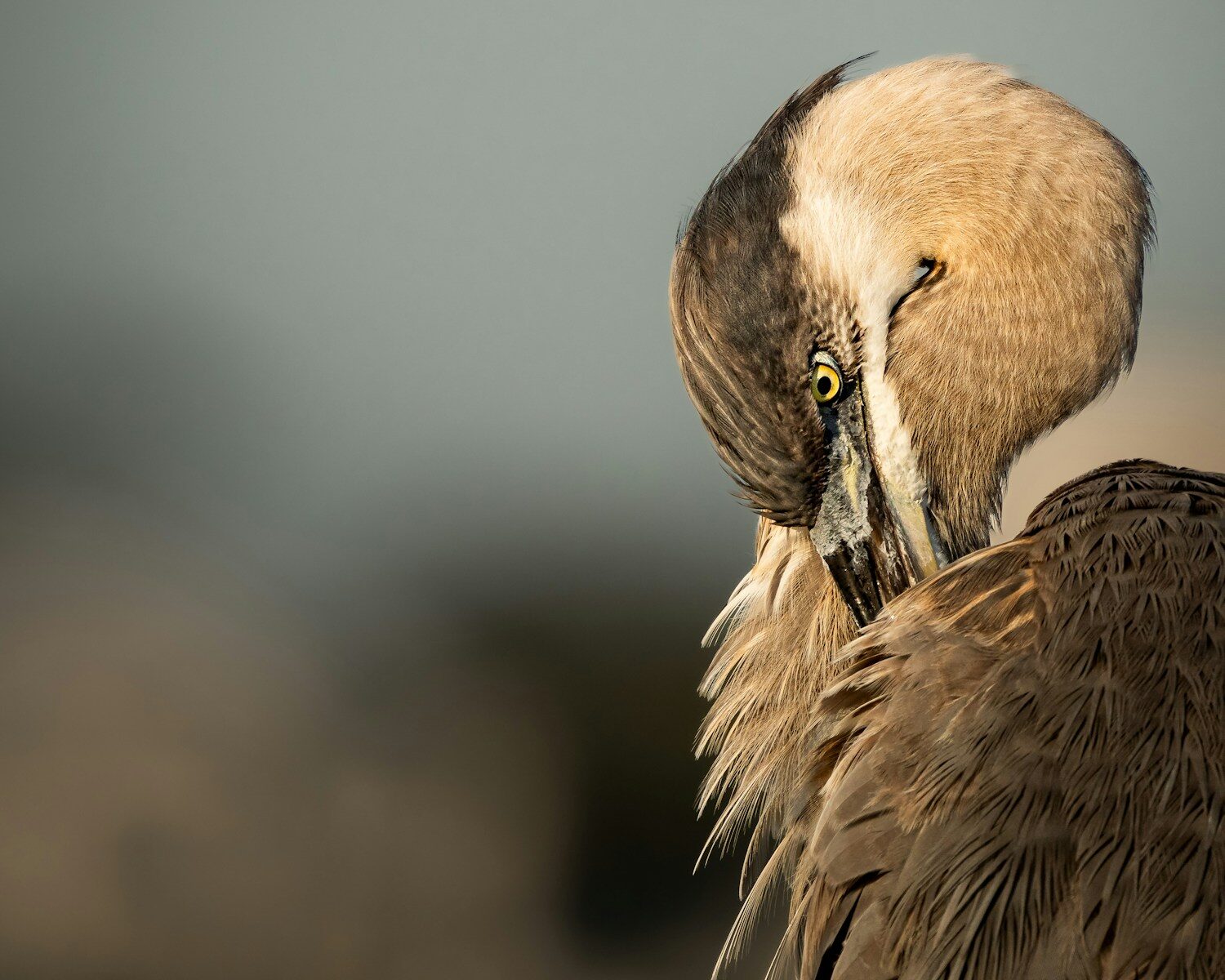 Childcare Products Liability